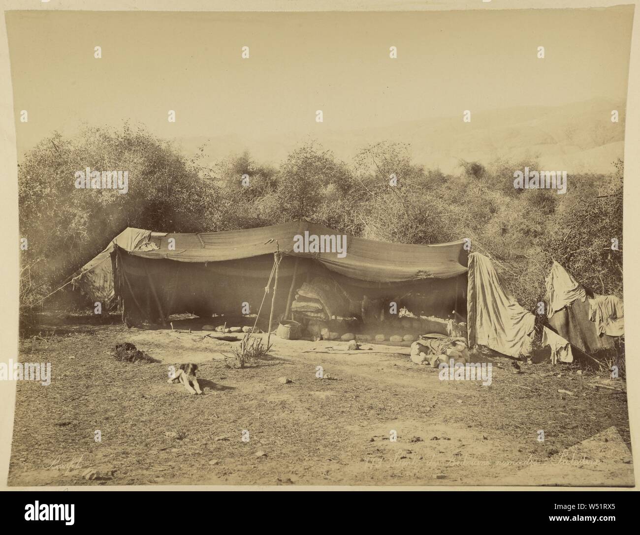 Tente de Bédouins nomades, Palestine, Félix Bonfils (French, 1831 - 1885),  Palestine, 1867, Albumen silver print, 22.5 x 28.3 cm (8 7/8 x 11 1/8 in  Stock Photo - Alamy