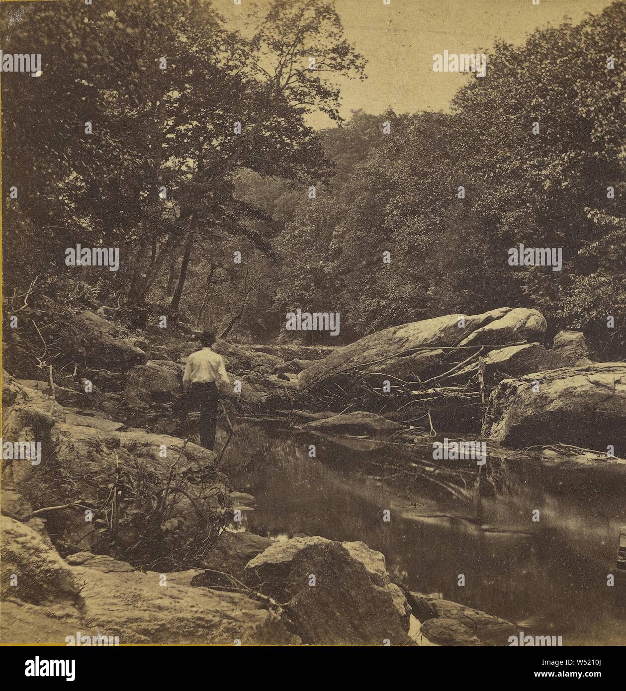 Wissahickon Creek, Near Philadelphia Pa. Dog Pond., Edward and Henry T. Anthony & Co. (American, 1862 - 1902), about 1869, Albumen silver print Stock Photo
