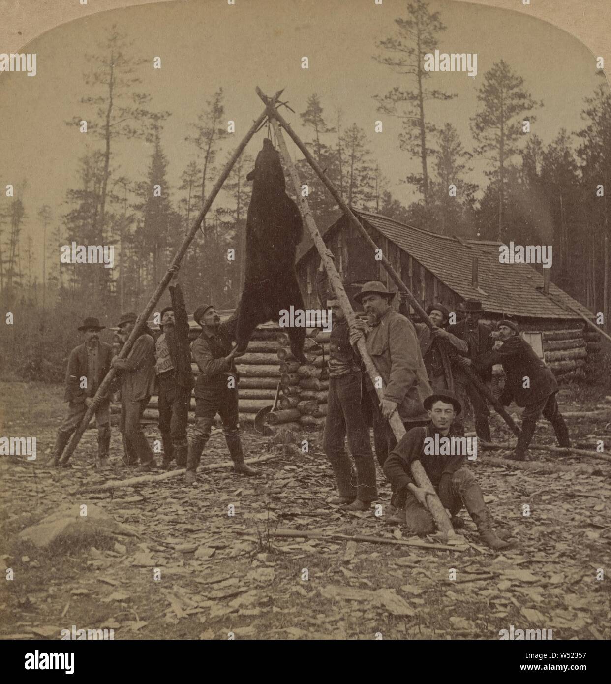 A Camp Scene - Hanging Up the Big Bear., George Barker (American, 1844 - 1894), 1893, Albumen silver print Stock Photo