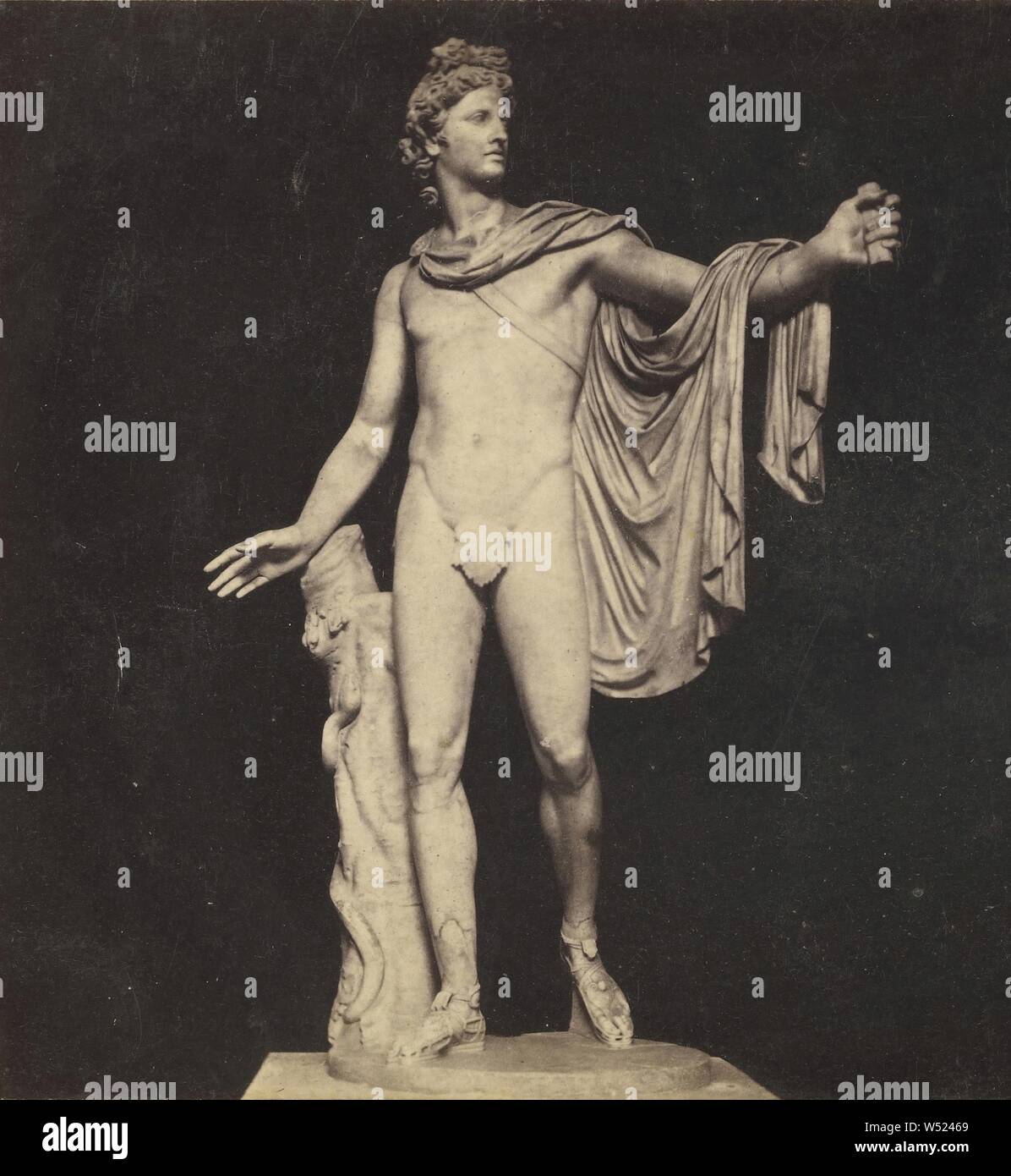 Apollo Vaticano, Roma, Edmondo Behles (Italian, born Germany, 1841 - 1921), about 1865–1875, Albumen silver print Stock Photo