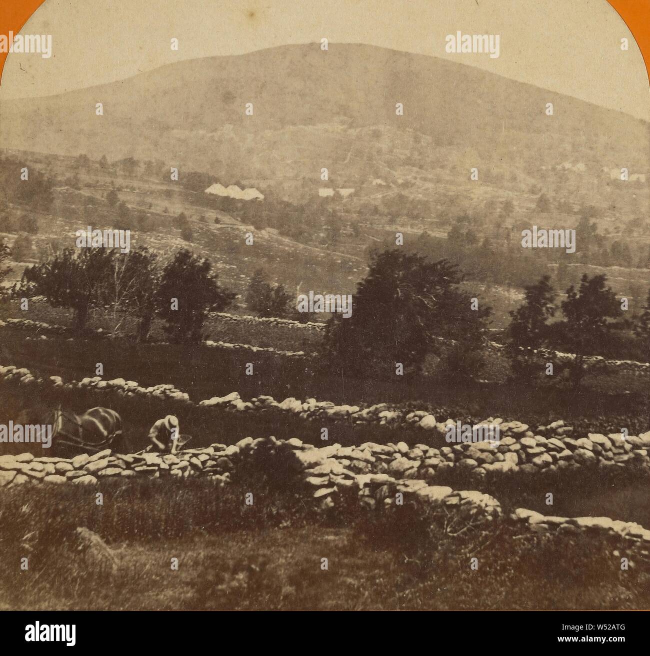 Wachusett Mt. from Sunset Rock. Mt. Wachusett, Mass., Thomas Lewis
