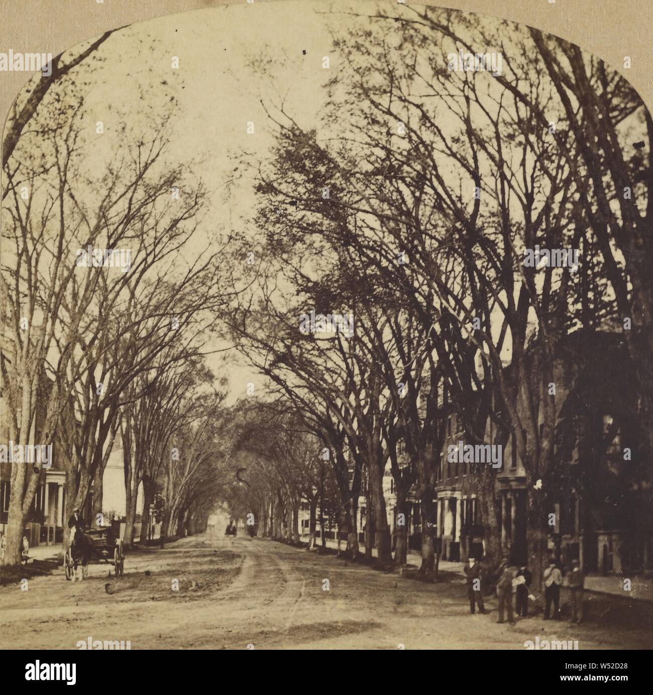 Chestnut Street. Boston, Mass., G.K. Proctor (American, died 1882