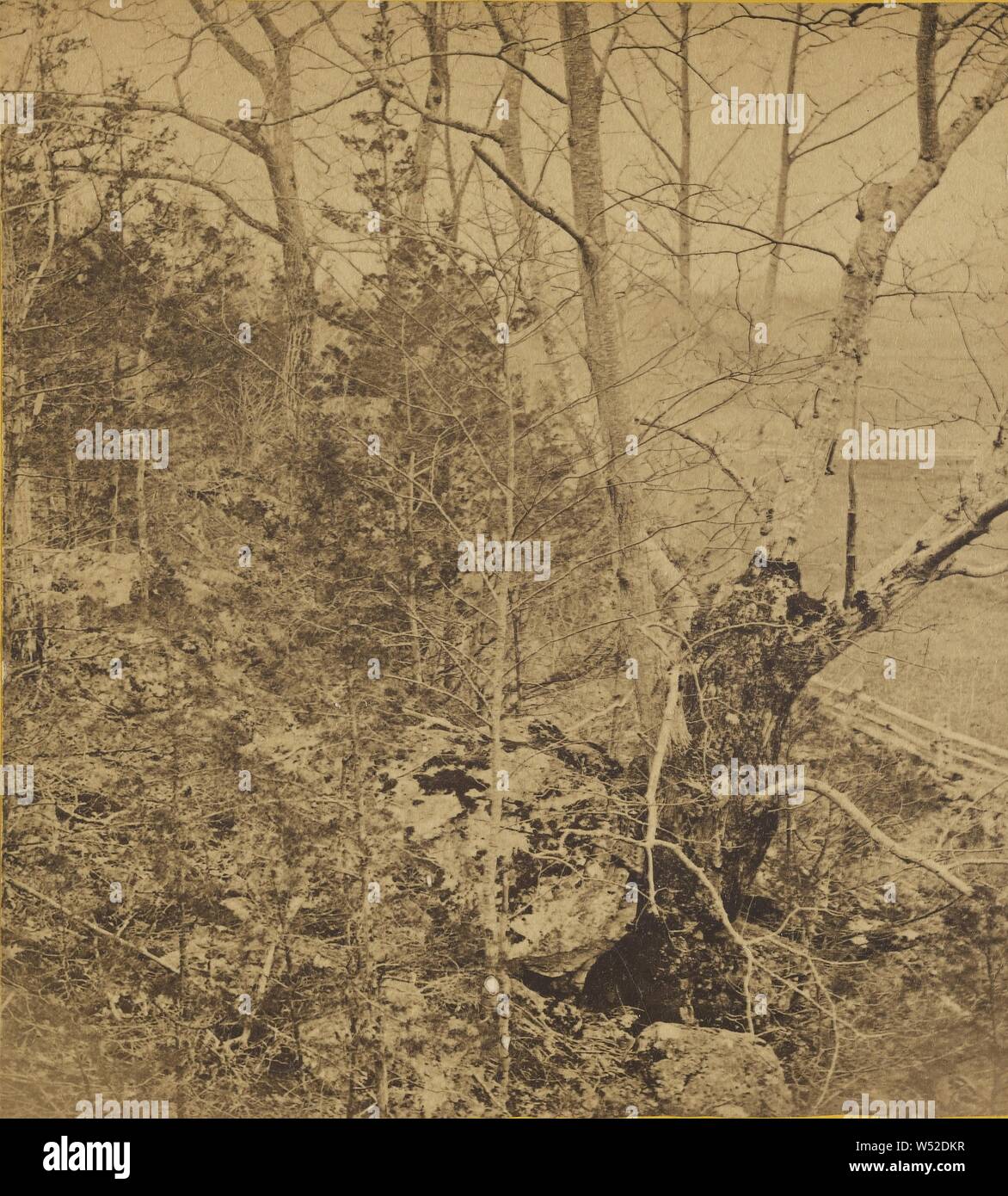 Vernon royle hi-res stock photography and images - Alamy