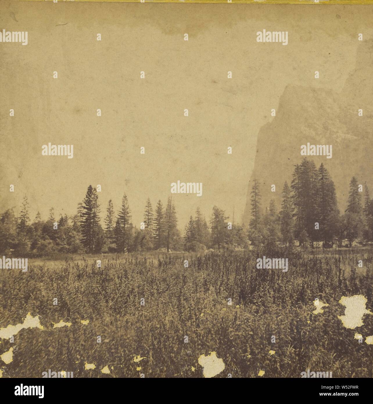 Up the Valley, Carleton Watkins (American, 1829 - 1916), about 1867, Albumen silver print Stock Photo