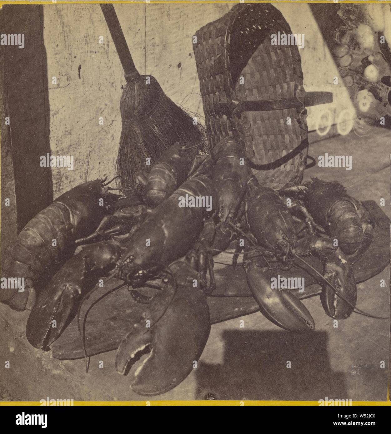 Lobsters, Unknown, about 1865, Albumen silver print Stock Photo
