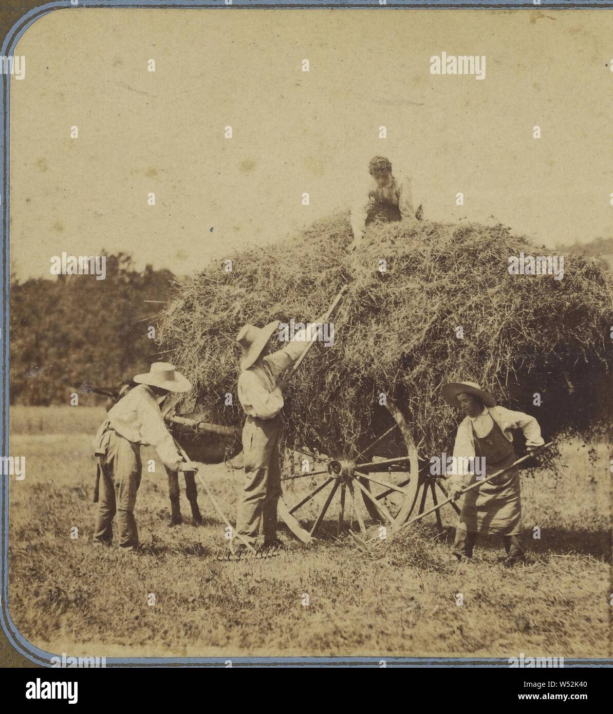 French workers pitching hay hires stock photography and images Alamy