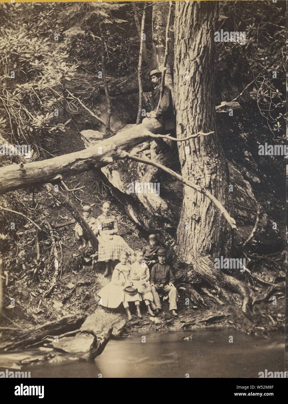 Delaware Water Gap, Penn'a. Babes in the Woods., Unknown maker, American, about 1875, Albumen silver print Stock Photo