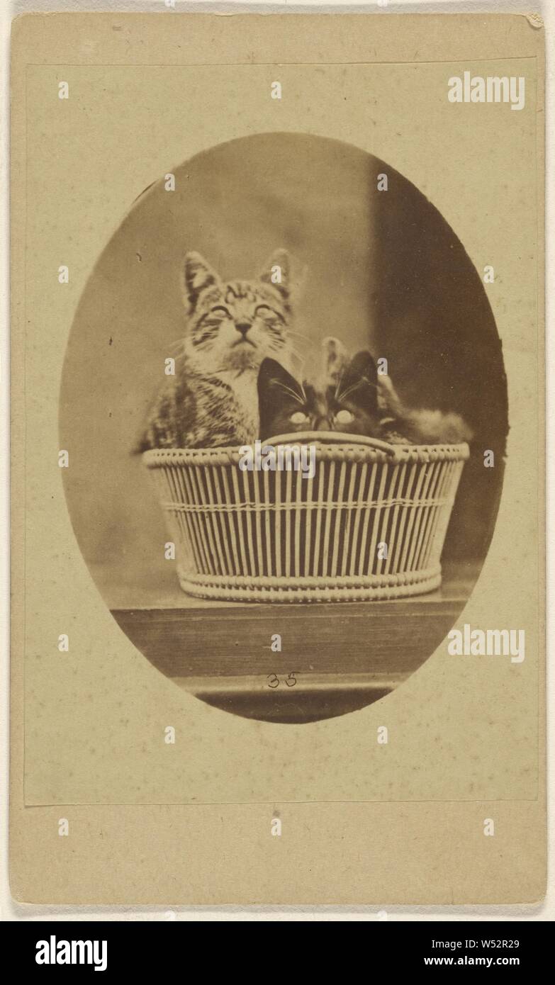 Figurine Porcelaine Anglaise Vintage - 2 Chats Dans Un Panier - W.TOOGOOD LONDON