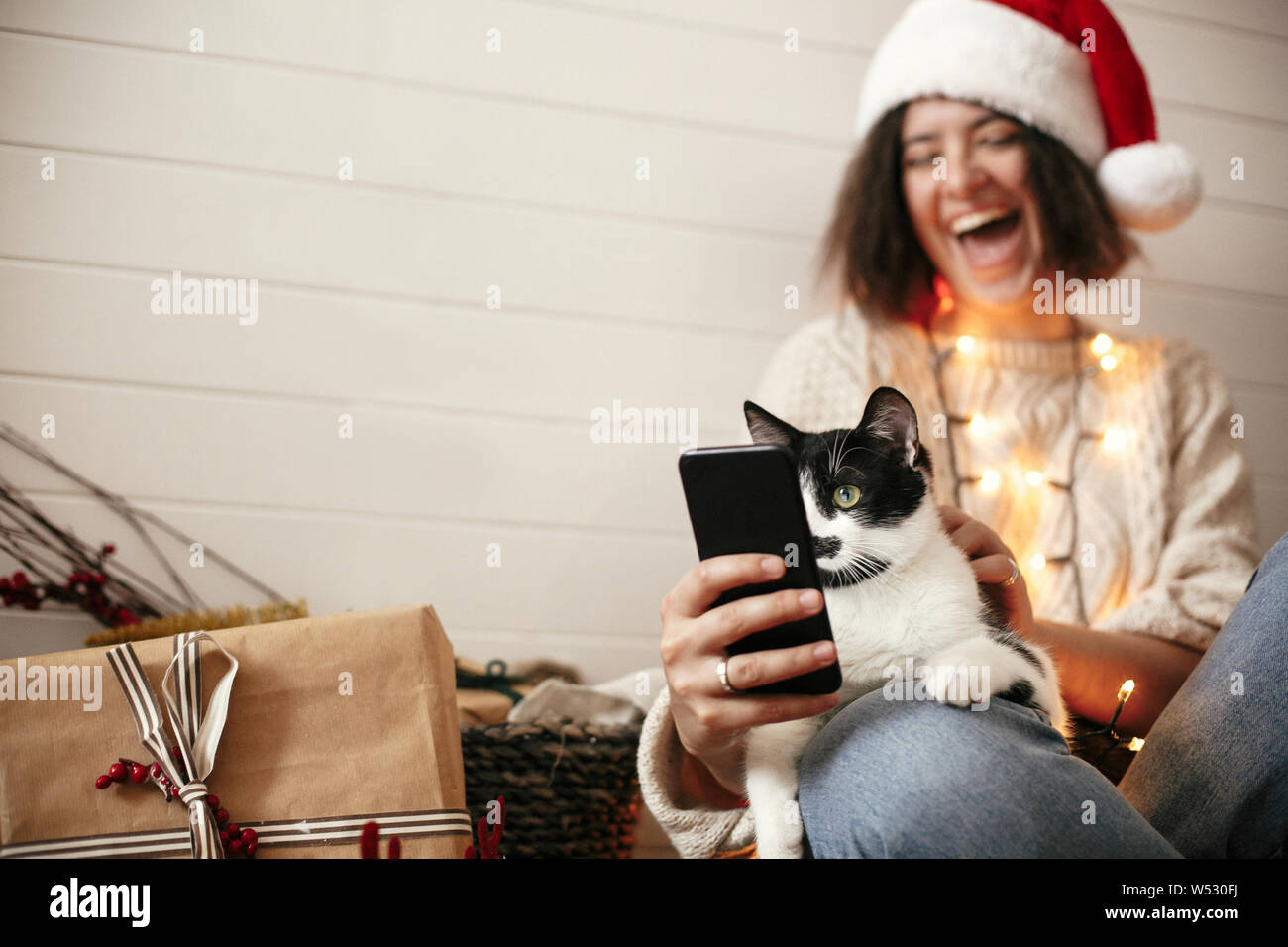 Cute cat looking at phone screen with funny emotions and sitting on