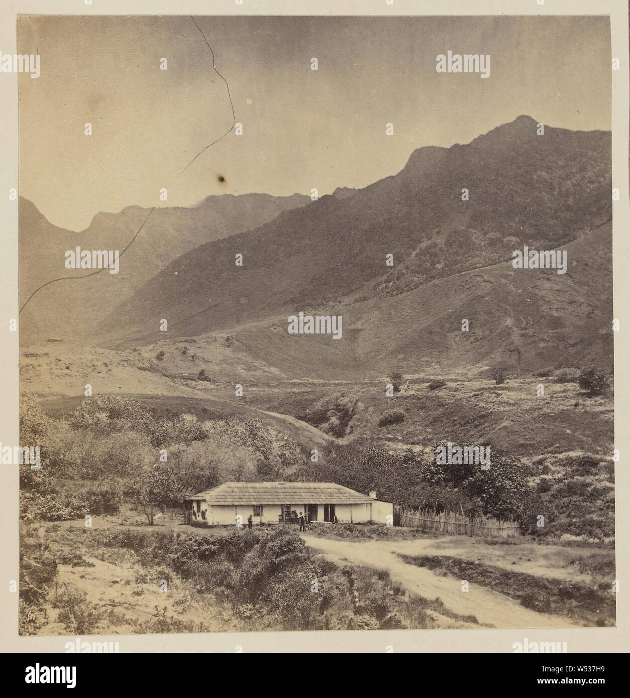 Scenes in the Island of Juan Fernandez, Helsby & Co., Chile, 1860, Albumen silver print, 7.6 × 7.3 cm (3 × 2 7/8 in Stock Photo