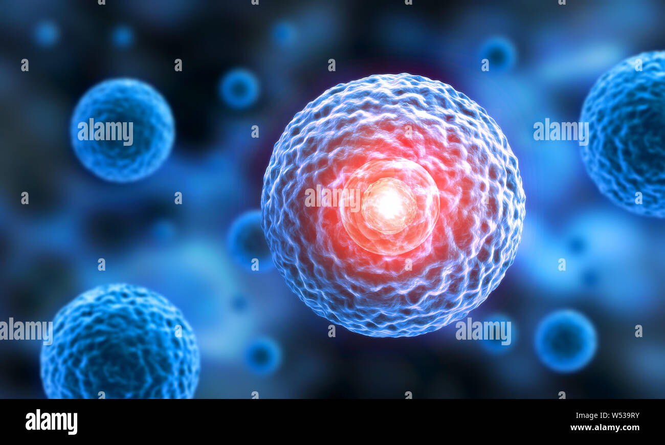 Active cell nucleus - 3D illustration Stock Photo