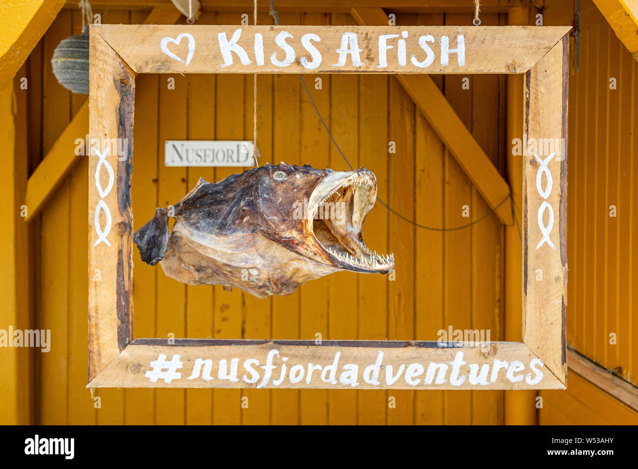 Kiss A Fish, an eye catcher sign for water sports activities in Nusfjord, on Flakstadøya Island, in the Lofoten Archipelago, Norway. Stock Photo