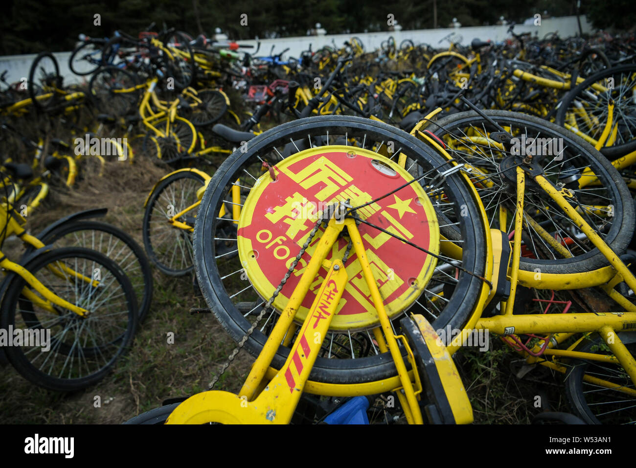 ofo warehouse sale 2019