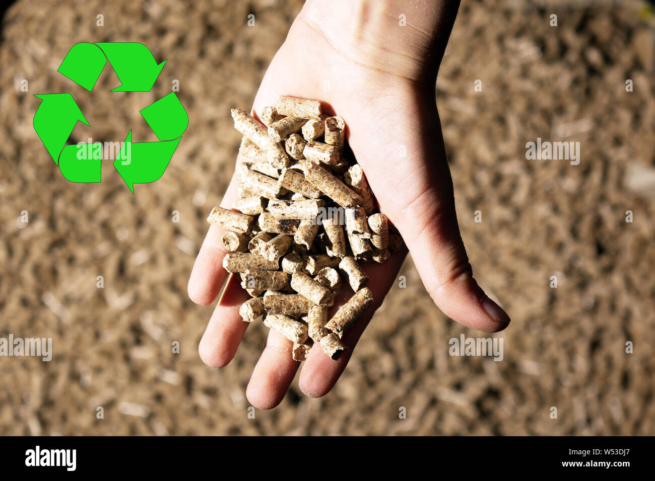 wooden pellet crisp pines Stock Photo