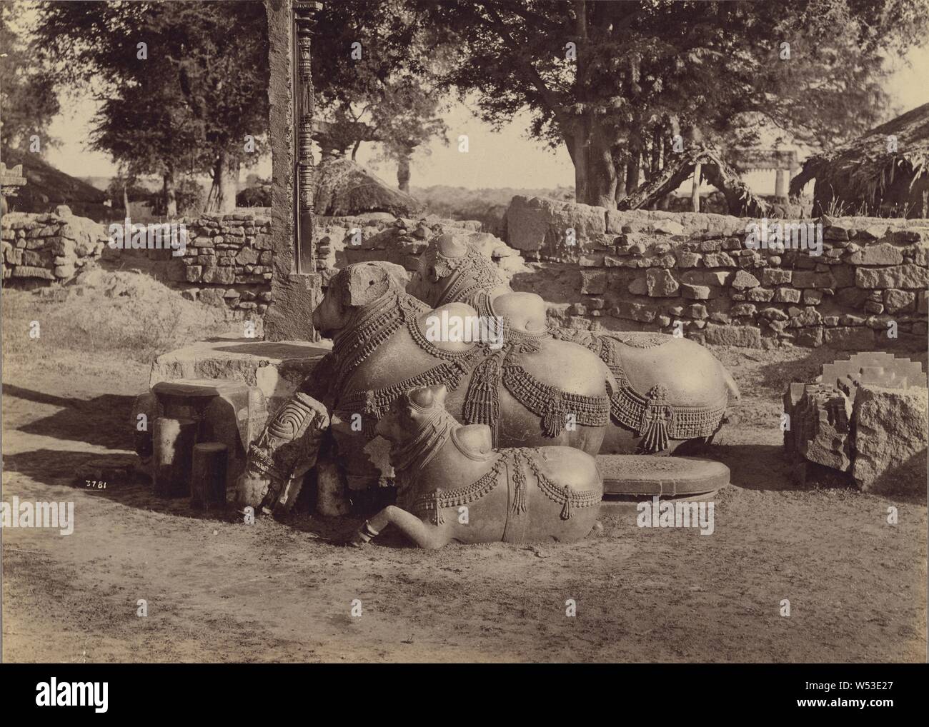 Bulls or Nadias with Ornamental Carvings Side View, Warangal, Hyderabad, Deccan, Lala Deen Dayal (Indian, 1844 - 1905), Warangal, India, December 1887–February 1888, Albumen silver print, 18.6 × 26 cm (7 5/16 × 10 1/4 in Stock Photo