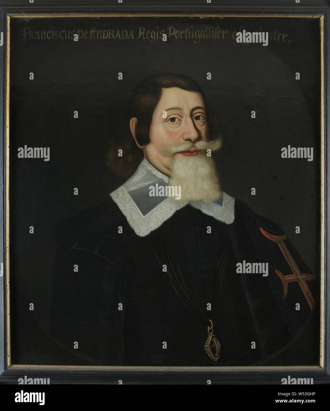 After Anselm van Hulle, Francisco d 'Andrade Søgo, Francisco d'Andrade Leitao, delegate from Portugal, painting, oil on canvas, Height, 73 cm (28.7 inches), Width, 67 cm (26.3 inches) Stock Photo
