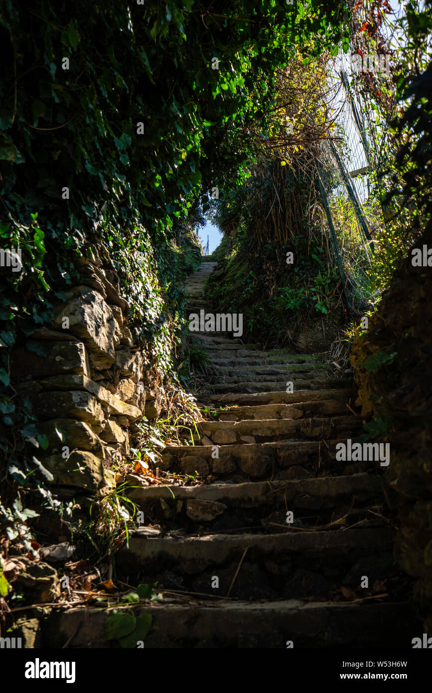 Stair Path On The Hiking Trail From Monterosso Cinque Terre Italy stair-path-on-the-hiking-trail-from-monterosso-cinque-terre-italy