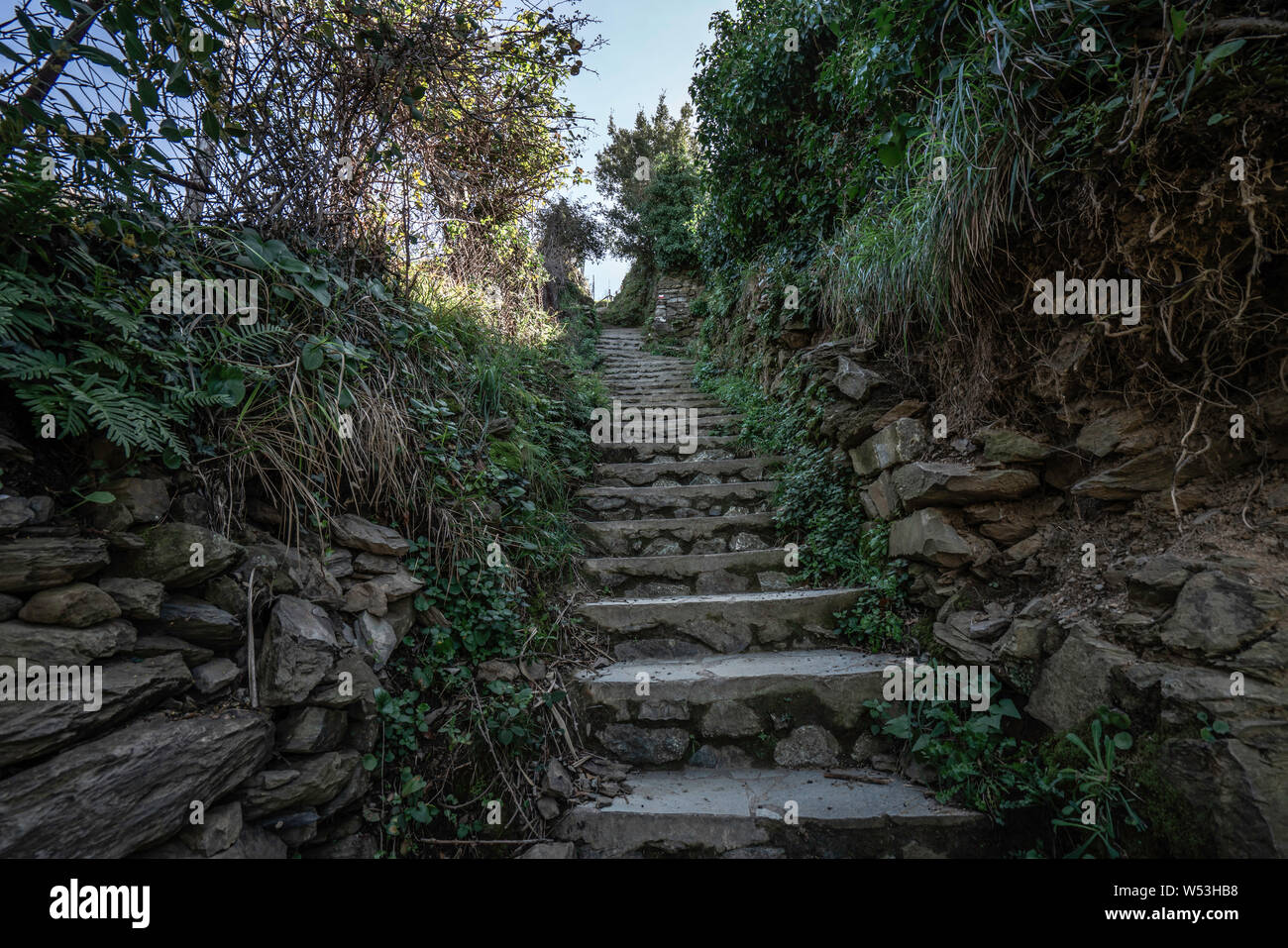 Monterosso Al Mare Path Hi res Stock Photography And Images Alamy monterosso-al-mare-path-hi-res-stock-photography-and-images-alamy