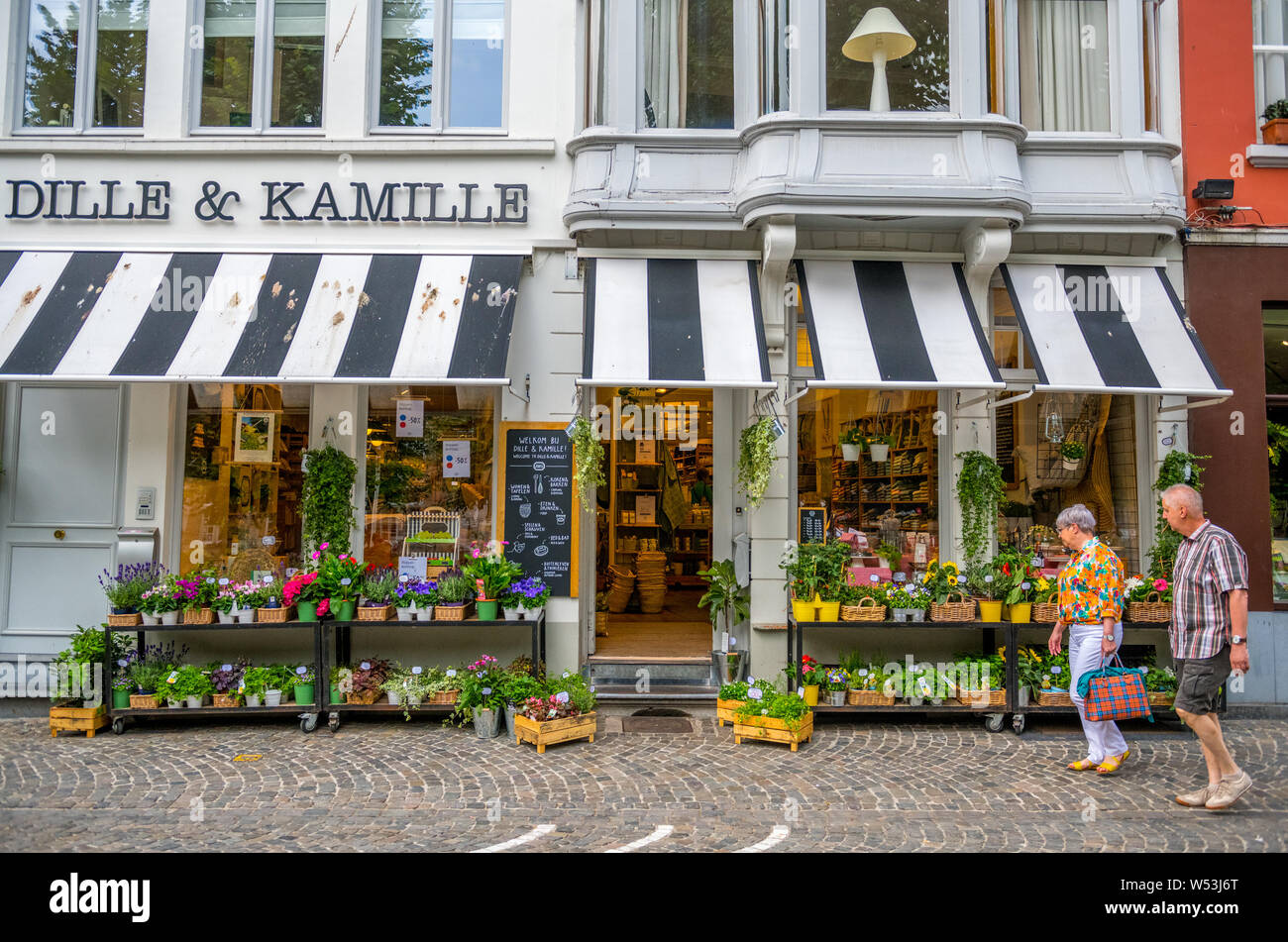 vloot Aap Verdachte Dille kamille hi-res stock photography and images - Alamy