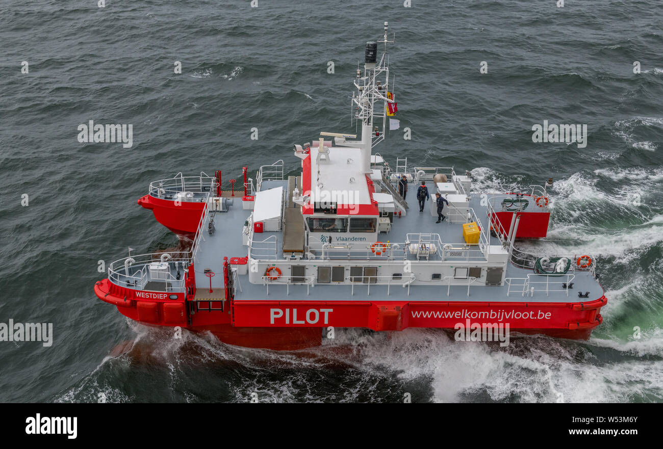 WESTDIEP PILOT, a pilot boat operating out of the Belgium port of Zeebrugge. Stock Photo