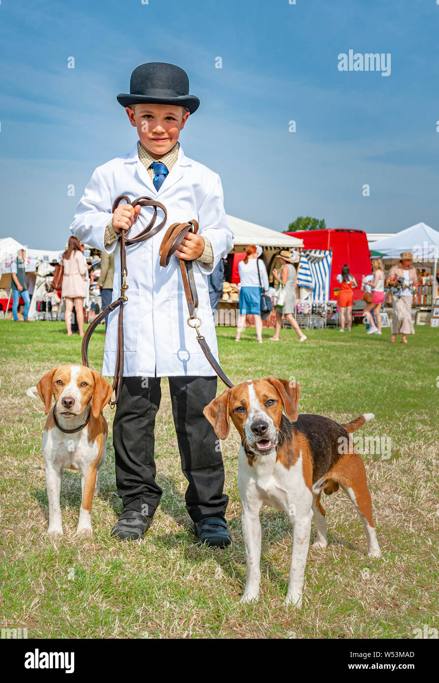 Festival of Hunting, Peterborough.  A young handler with two beagles waiting to go into the show ring Stock Photo