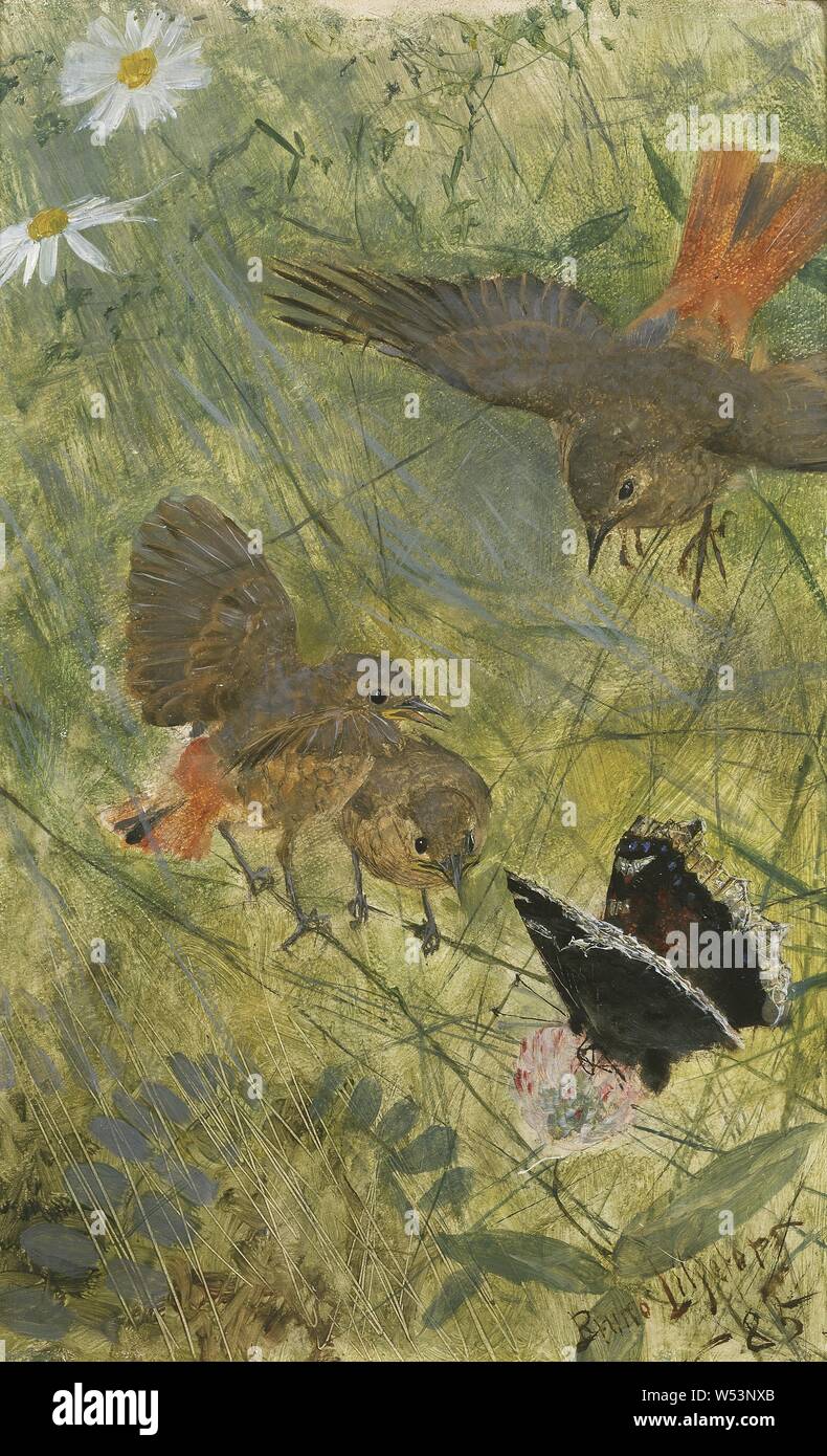 Bruno Liljefors, Redstarts and Butterflies, Five studies in one frame, NM 2223-2227, Red tails and butterfly, One of five animal studies in the same frame, painting, animal painting, 1885, oil on panel, Height, 26.5 cm (10.4 inches), Width, 17 cm (6.6 inches), Signed, Bruno Liljefors -, 85 Stock Photo