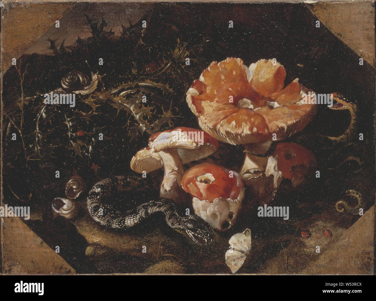 Paolo Porpora, Serpents, Fly Agarics and Thistles, painting, oil on canvas, Height, 35 cm (13.7 inches), Width, 48 cm (18.8 inches) Stock Photo