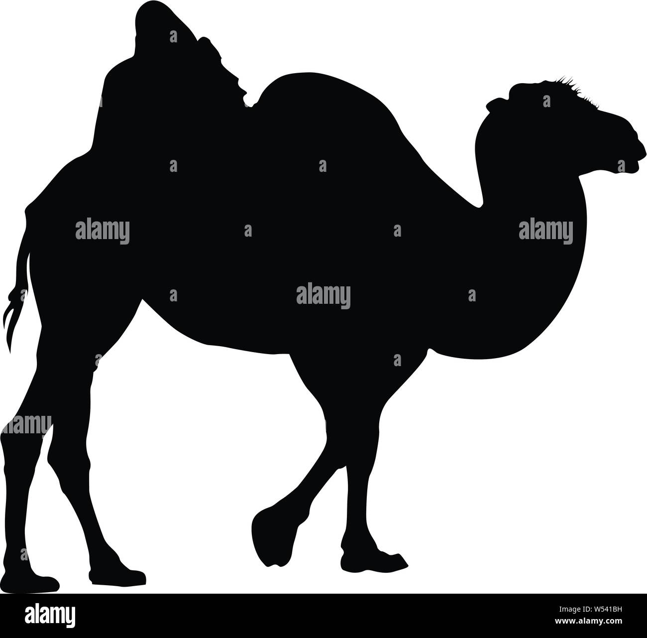 Camel Silhouette  Vector Image Illustration Isolated On White Stock Vector