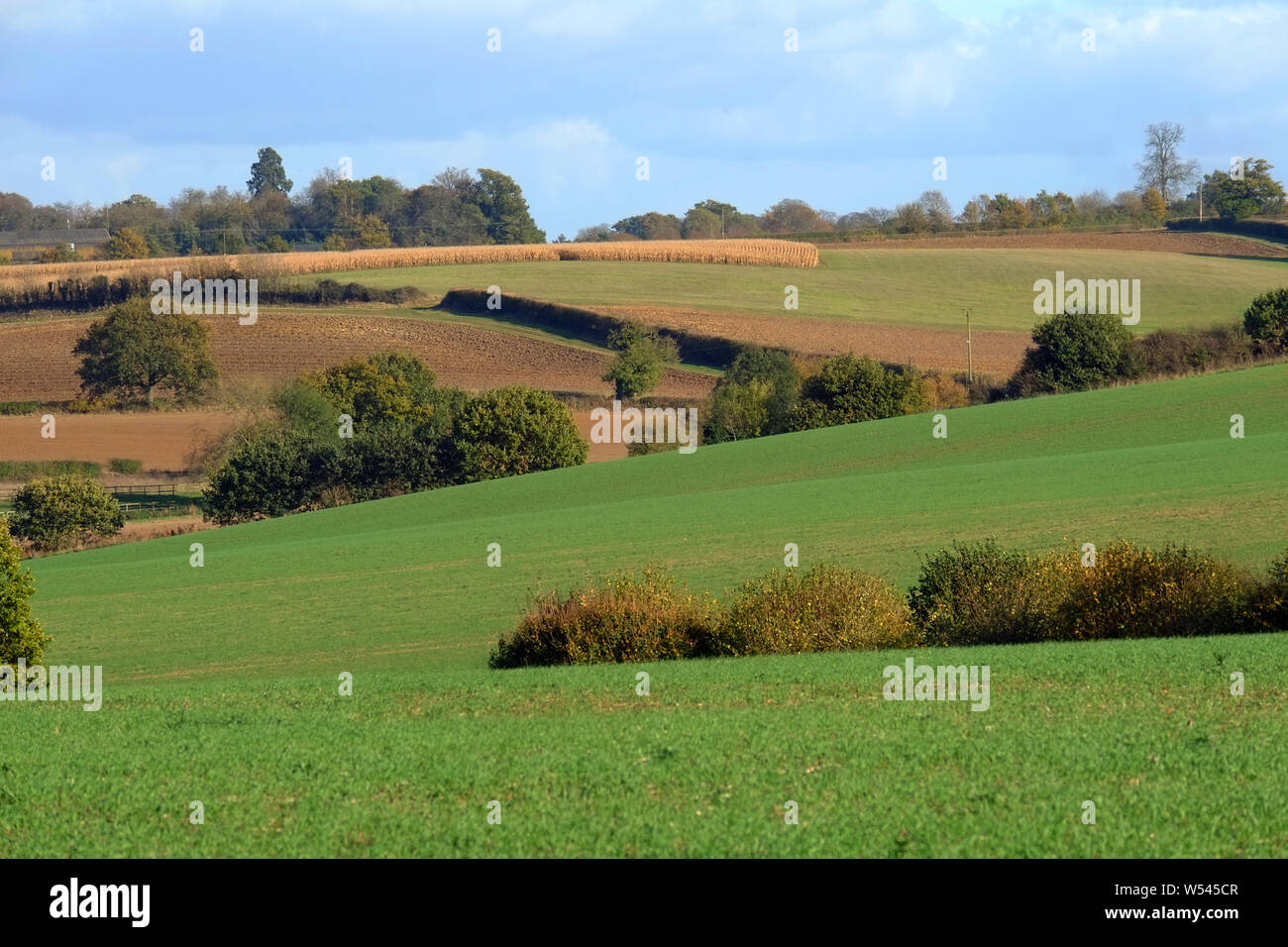 Rolling Essex countryside popular historical landscape used by painters like Constable and Gainsborough Stock Photo