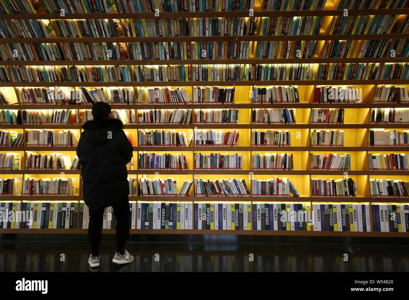 Interior view of the "Reader Channel" filled with books in the college