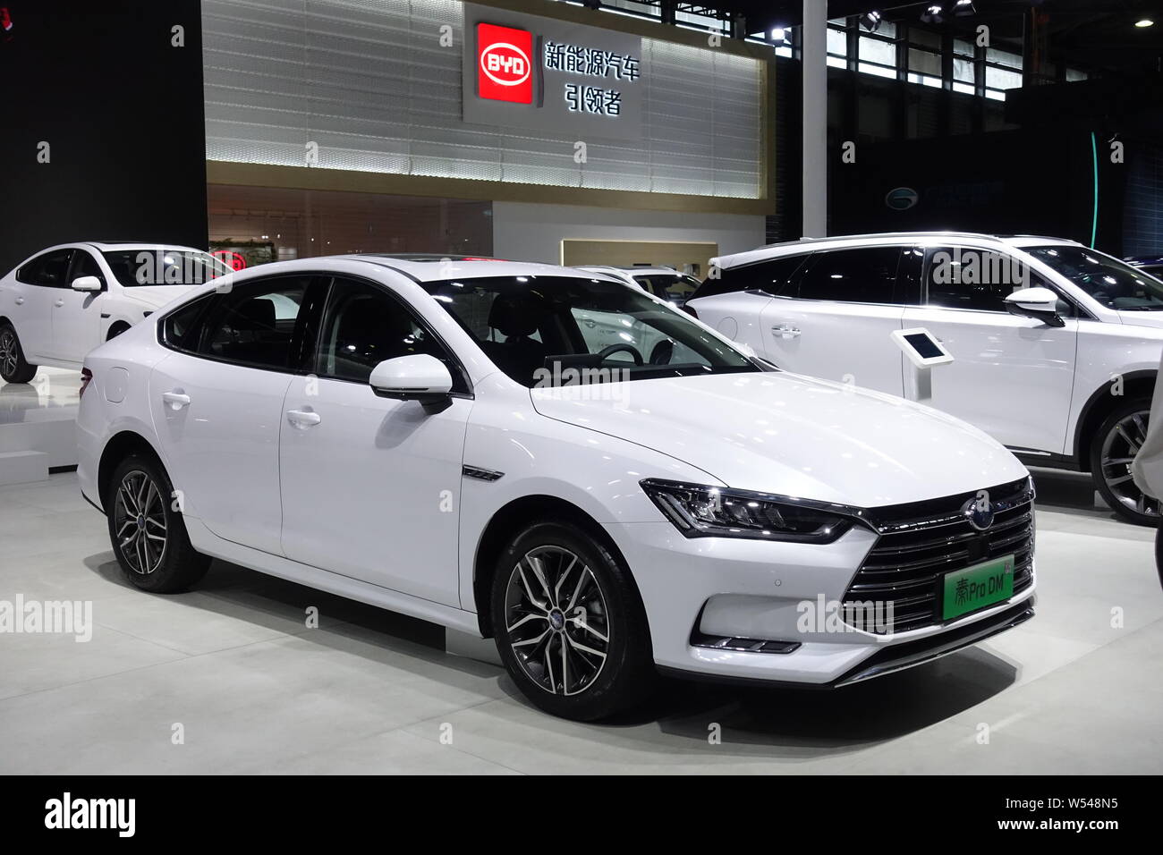 FILEElectric cars are on display at the stand of BYD during an auto