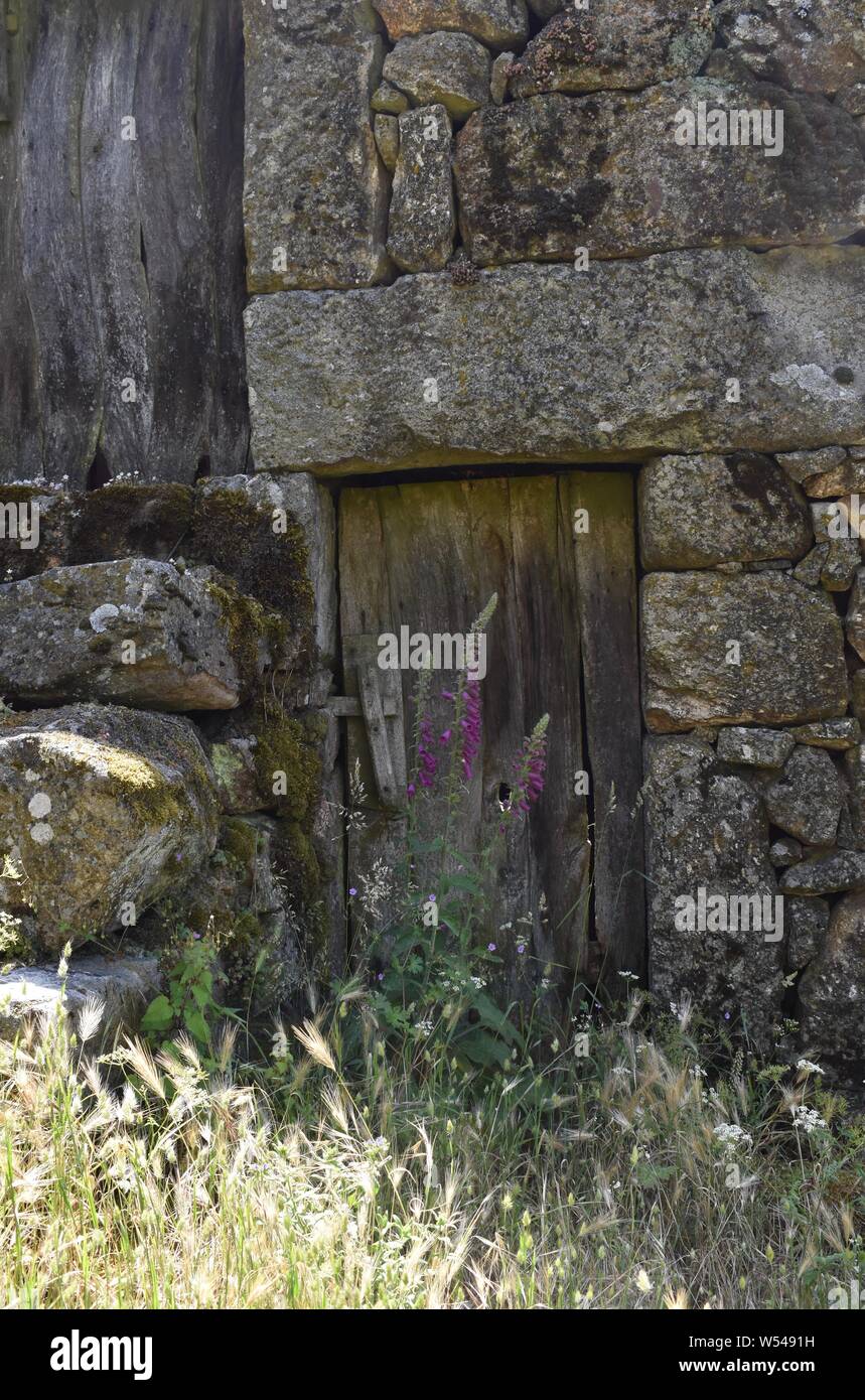 old wooden door on a stone wall with big stones Stock Photo - Alamy