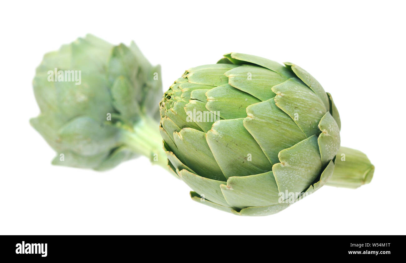 Two artichokes isolated on white Stock Photo