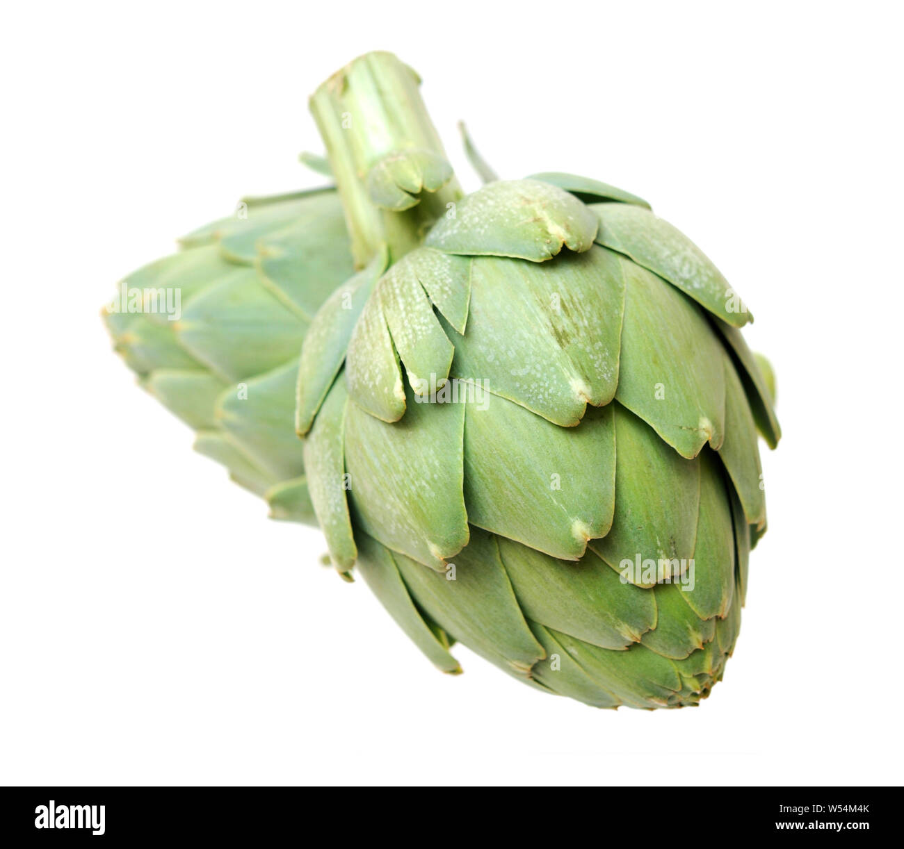 Two artichokes isolated on white Stock Photo