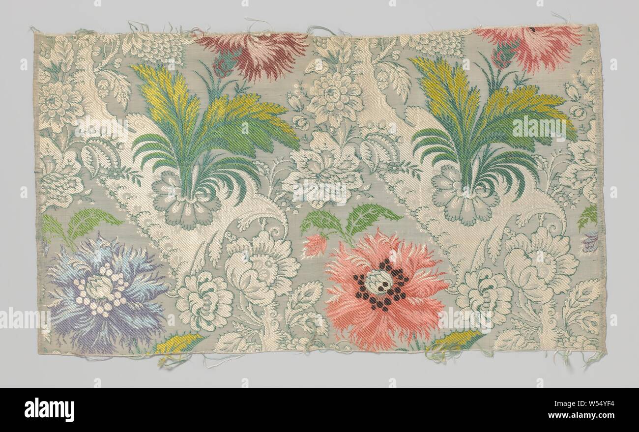 Carnation stems originate hires stock photography and images Alamy