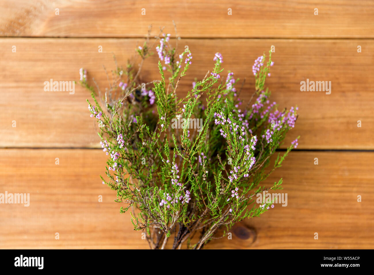 heather bush on wooden table Stock Photo