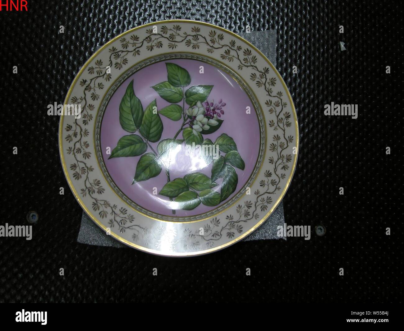 Plate with a flower spray, Porcelain plate, painted on the glaze in pink, green, yellow, purple, brown, black and gold. On the shelf a flower branch on a pink background. The wall with a narrow decorative band and on the edge a continuous leaf tendril with golden lines. On the underside the inscription 'Pongamia glabra / Grandes Indes'. Marked on the bottom with the scepter, the red eagle, a scepter and a globe in its claws, with K.P.M. and the number 32 III., Königliche Porzellan Manufaktur, Berlin, c. 1825 - c. 1835, porcelain (material), glaze, gold (metal), vitrification, h 3.1 cm d 24.3 Stock Photo