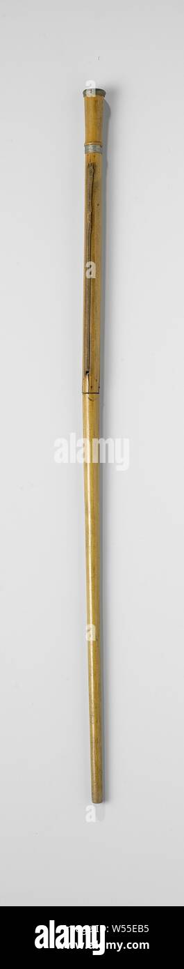 Walking stick made of varnished wood with a flat brass button, in