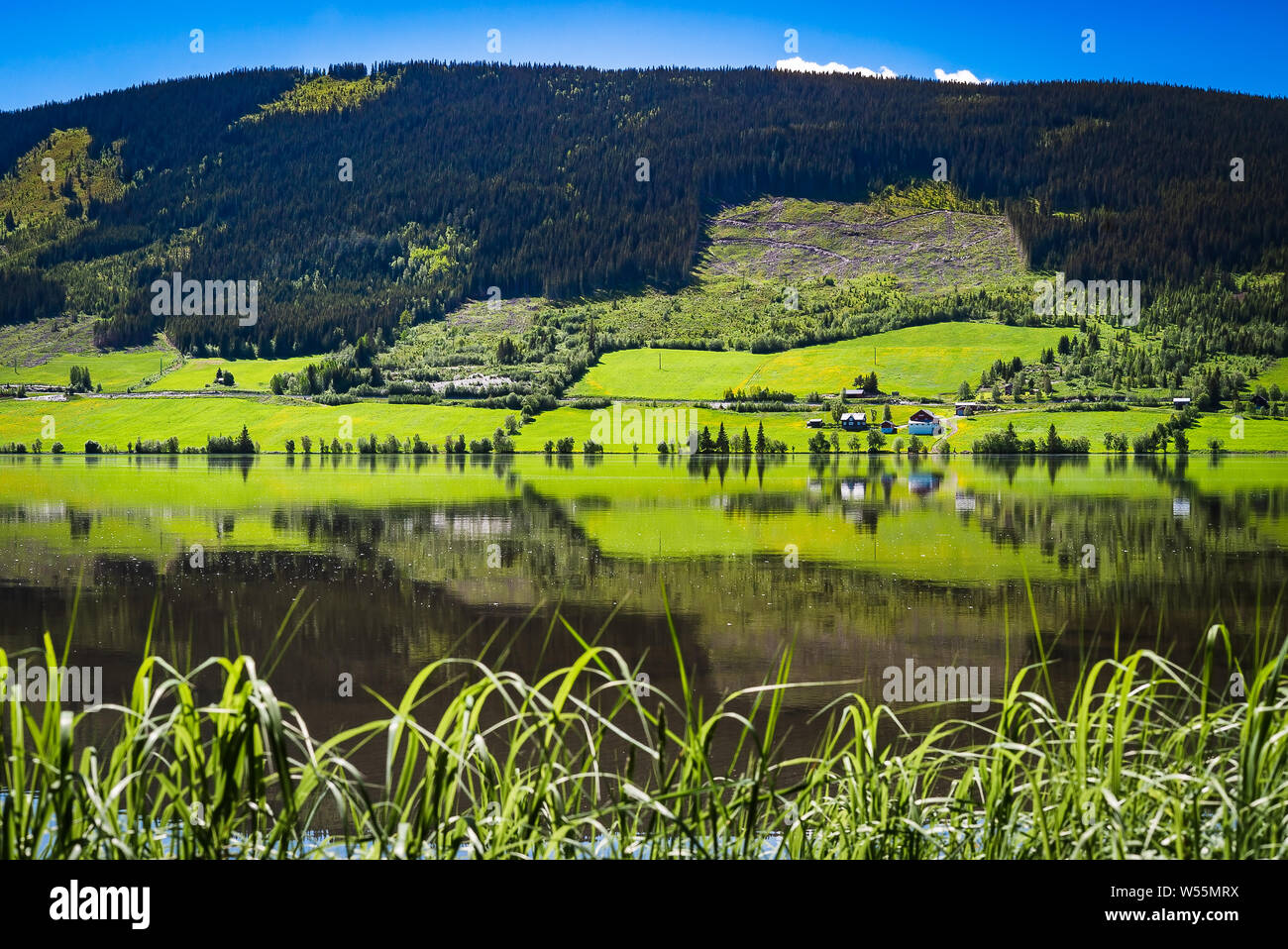 A majestic rural panorama view of green farmland, trees, quiet lake and mountains in the countryside, nature summer scenery with sunlight Stock Photo