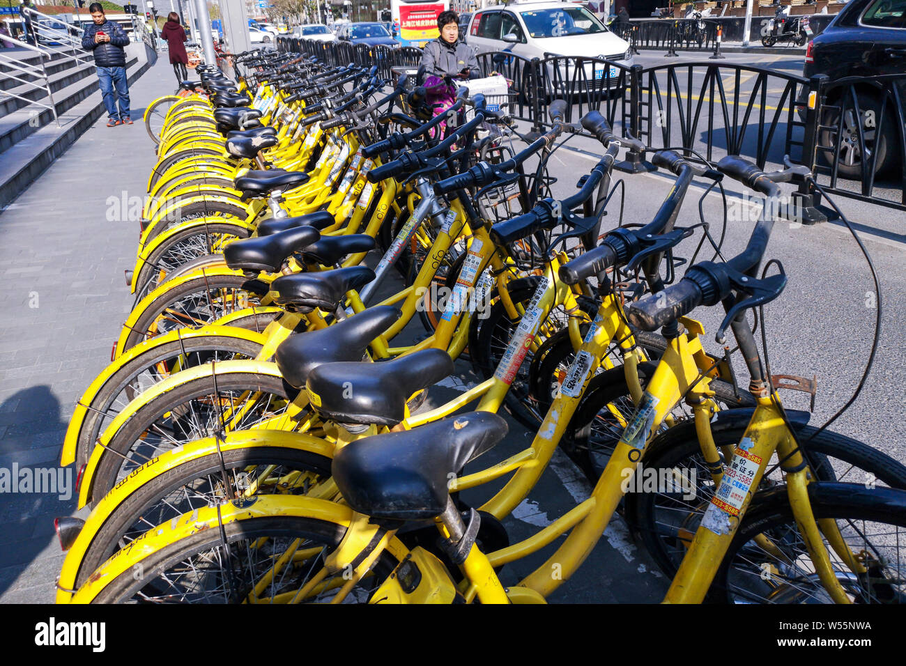 ofo customer service number