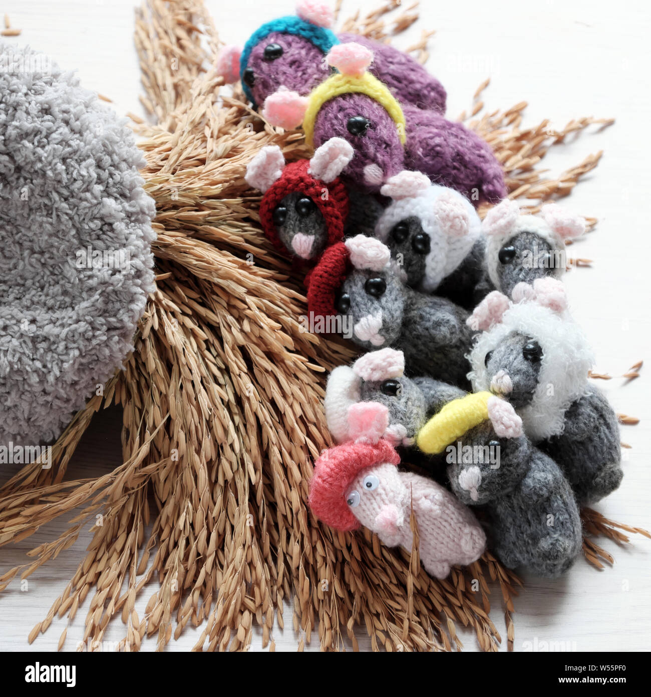 Colorful close up group of grey mice lay down on sheaf of yellow paddy on white background, tiny rats knit from yarn make funny concept Stock Photo