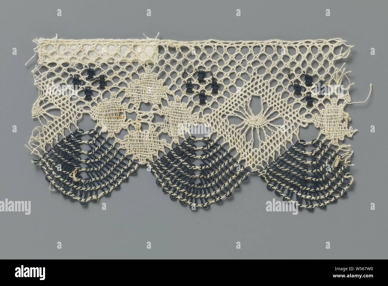 Dark blue fan shaped shells placed hires stock photography and images