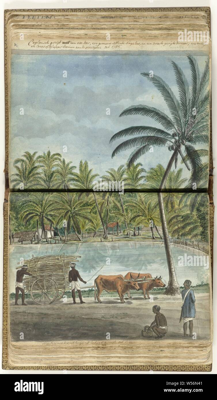 Ceylon's face with an ox cart, a squat singalees and a black bailiff, Coloring drawing over two pages of an ox cart with a number of Ceylon characters on a road against a background with a small lake, a house and burst trees. With inscription. Part from the sketchbook by Jan Brandes, dl. 2 (1808), p. 78-79, Sri Lanka, Dutch East India Company, Jan Brandes, Colombo, Oct-1785, paper, pencil, brush, h 310 mm × w 195 mm Stock Photo