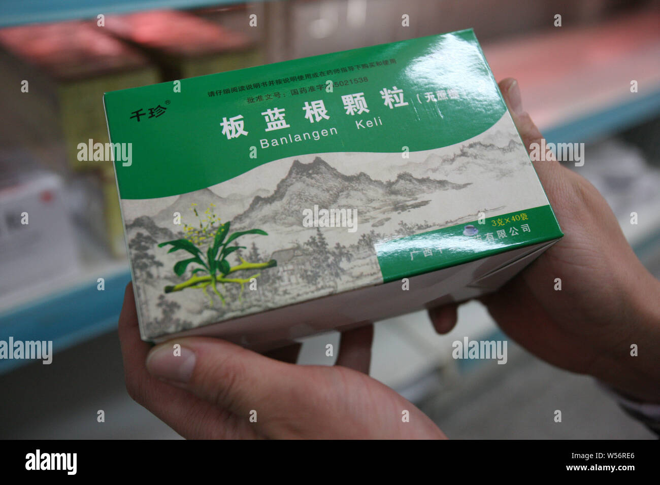 --FILE--A chemist shows a box of isatis indigotica root or 'banlangen,' a traditional Chinese medicinal herb used for the prevention and treatment of Stock Photo