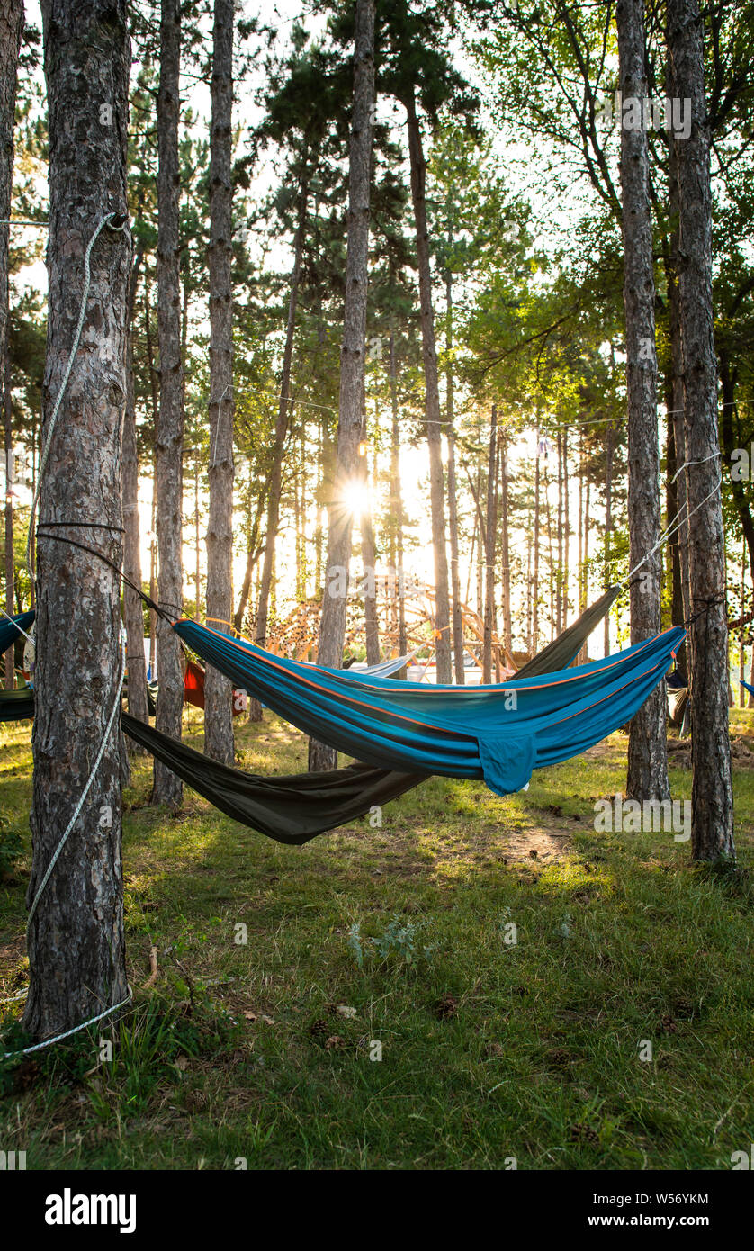 Hammock between trees hot sale