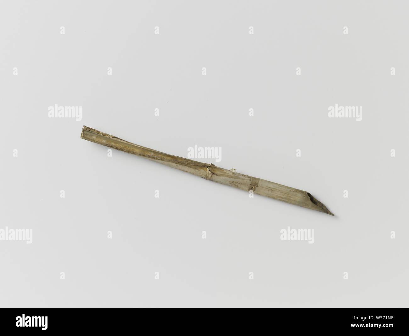 Goose Feather High Resolution Stock Photography and Images - Alamy