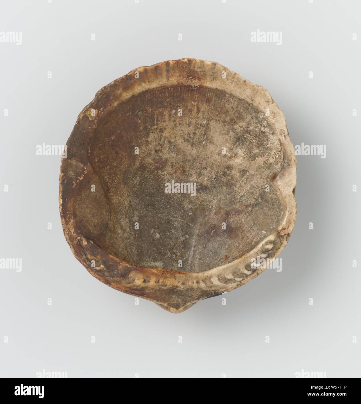 Shell or paint shell, Nova Zembla, Behouden Huys, Willem Barendsz ...