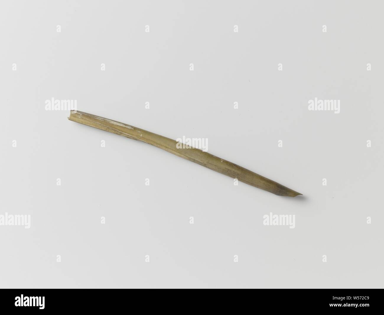 Goose Feather High Resolution Stock Photography and Images - Alamy