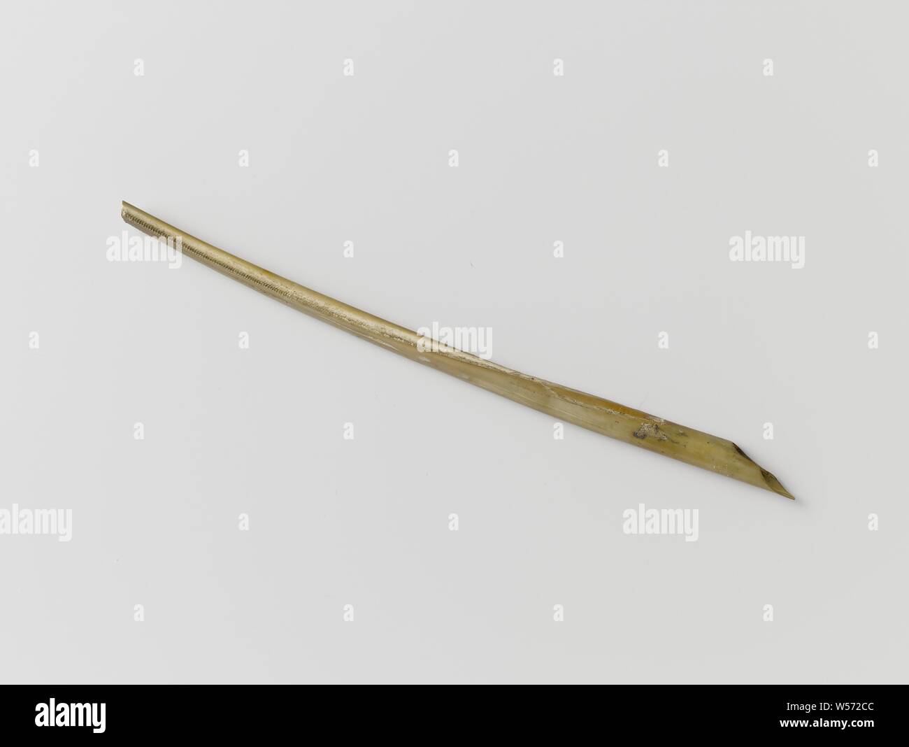 Goose Feather High Resolution Stock Photography and Images - Alamy