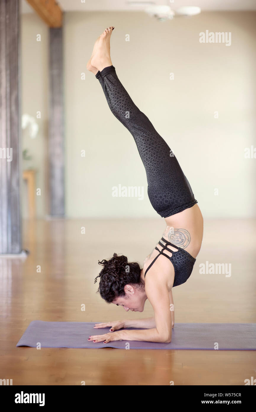 Middle aged Hispanic woman in Scorpion Yoga Pose. Stock Photo